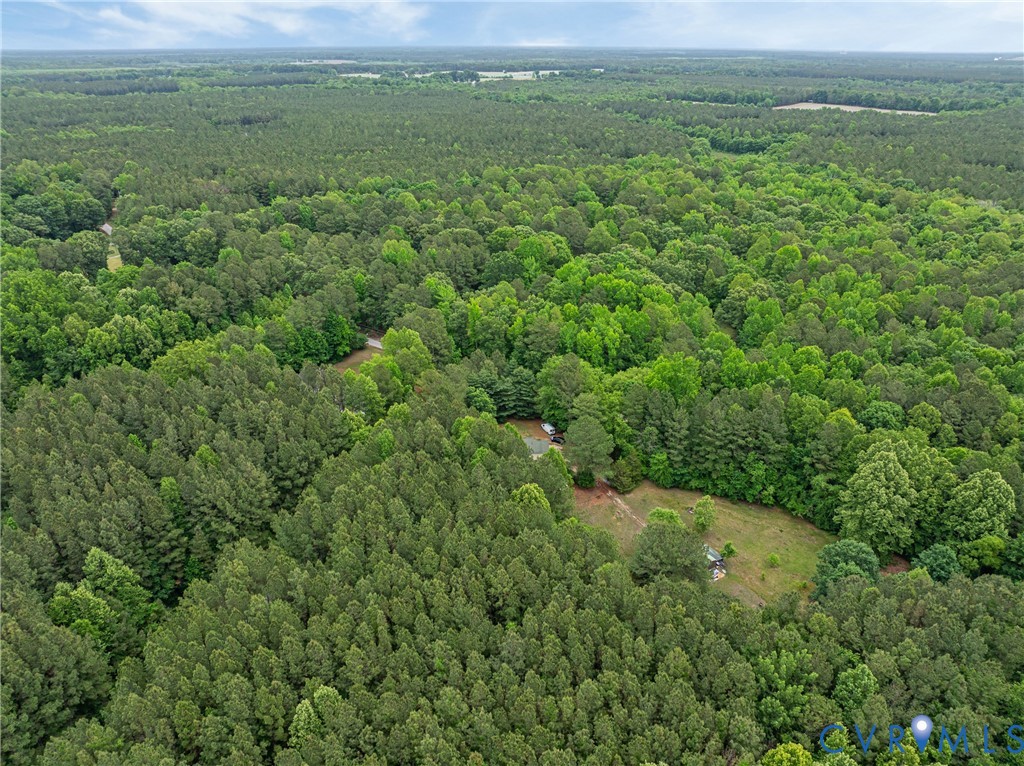 17200 Jolly Road Disputanta, VA 23842 - Photo 21 of 28