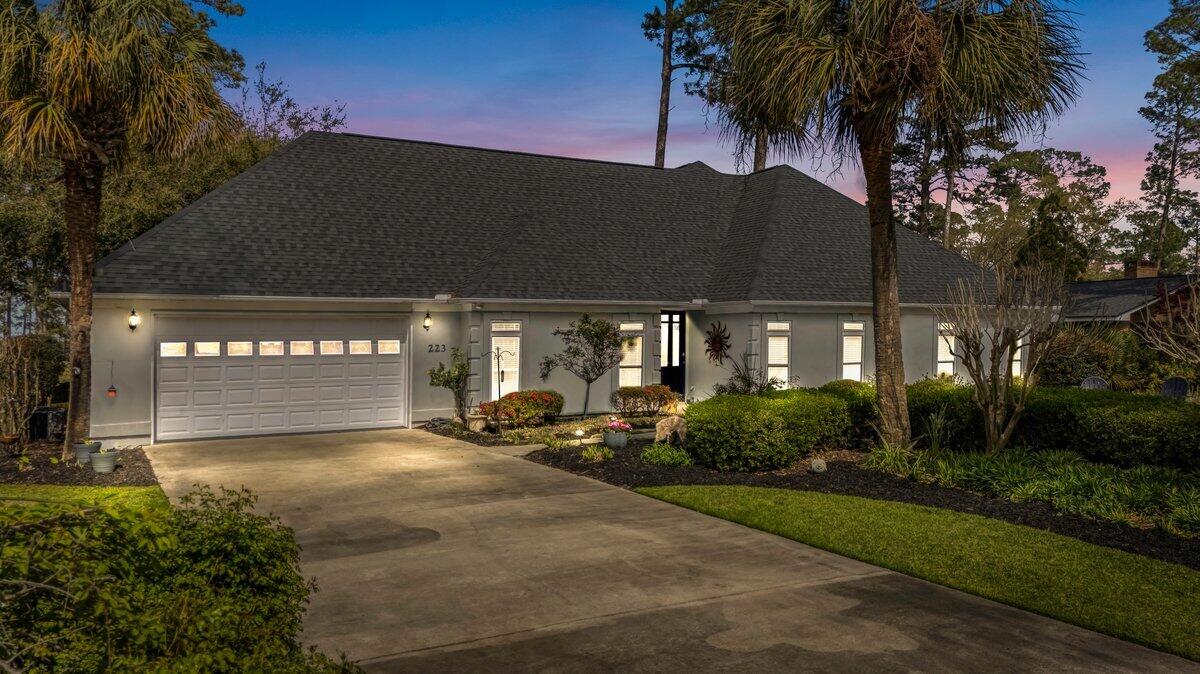 223 Cooper Drive Santee, SC 29142 - Photo 3 of 54 223 Cooper Drive Twilight 1 (1)