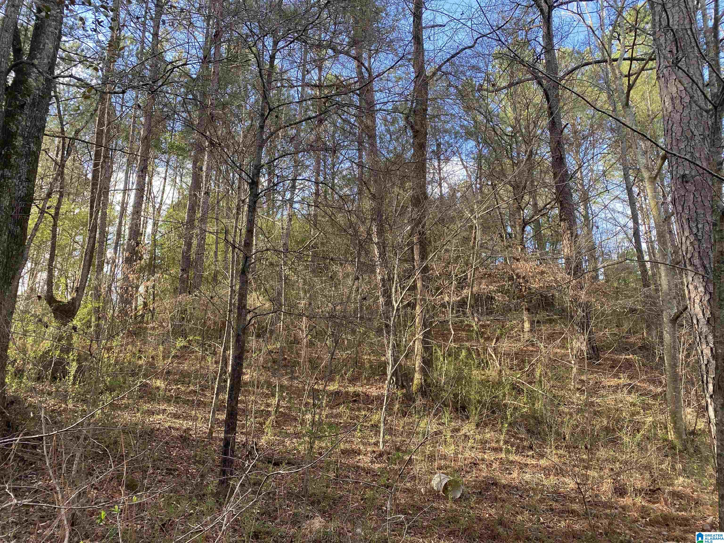 6388 Letson Lake Road, Unit 1 Bessemer, AL 35023 - Photo 12 of 20