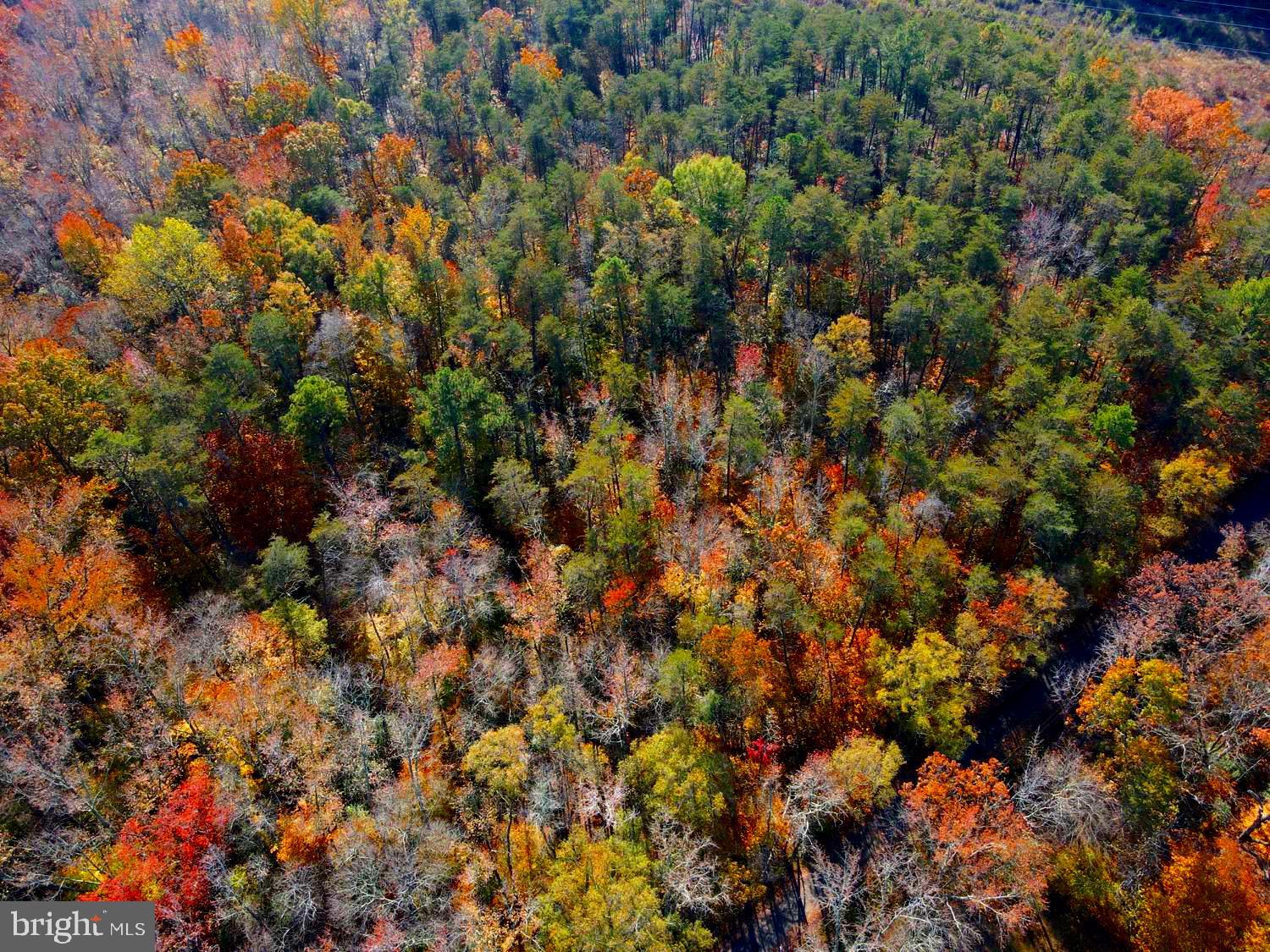 Thompkins Lane Bowie, MD 20720 - Photo 11 of 13 a view of a dry yard