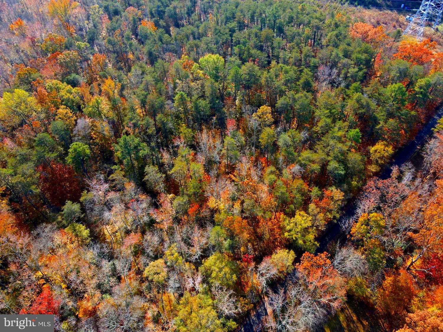 Thompkins Lane Bowie, MD 20720 - Photo 13 of 13 a view of a tree