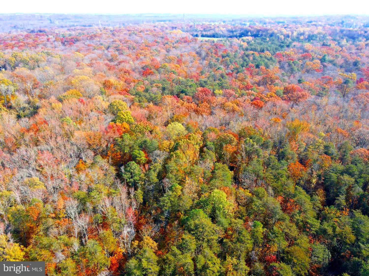 Thompkins Lane Bowie, MD 20720 - Photo 9 of 13 a view of city and mountain