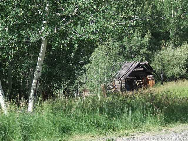 1555 South Ruby Road Silverthorne, CO 80498 - Photo 13 of 25 Other.