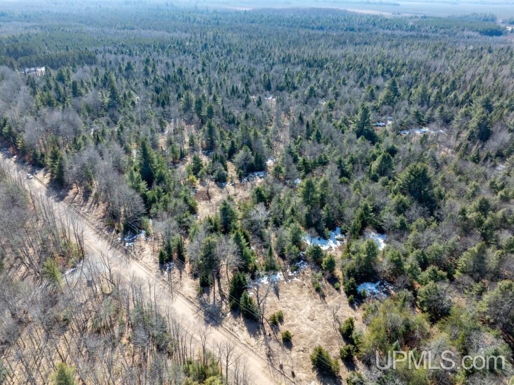 Tbd Dd Road Wetmore, MI 49895 - Photo 12 of 22