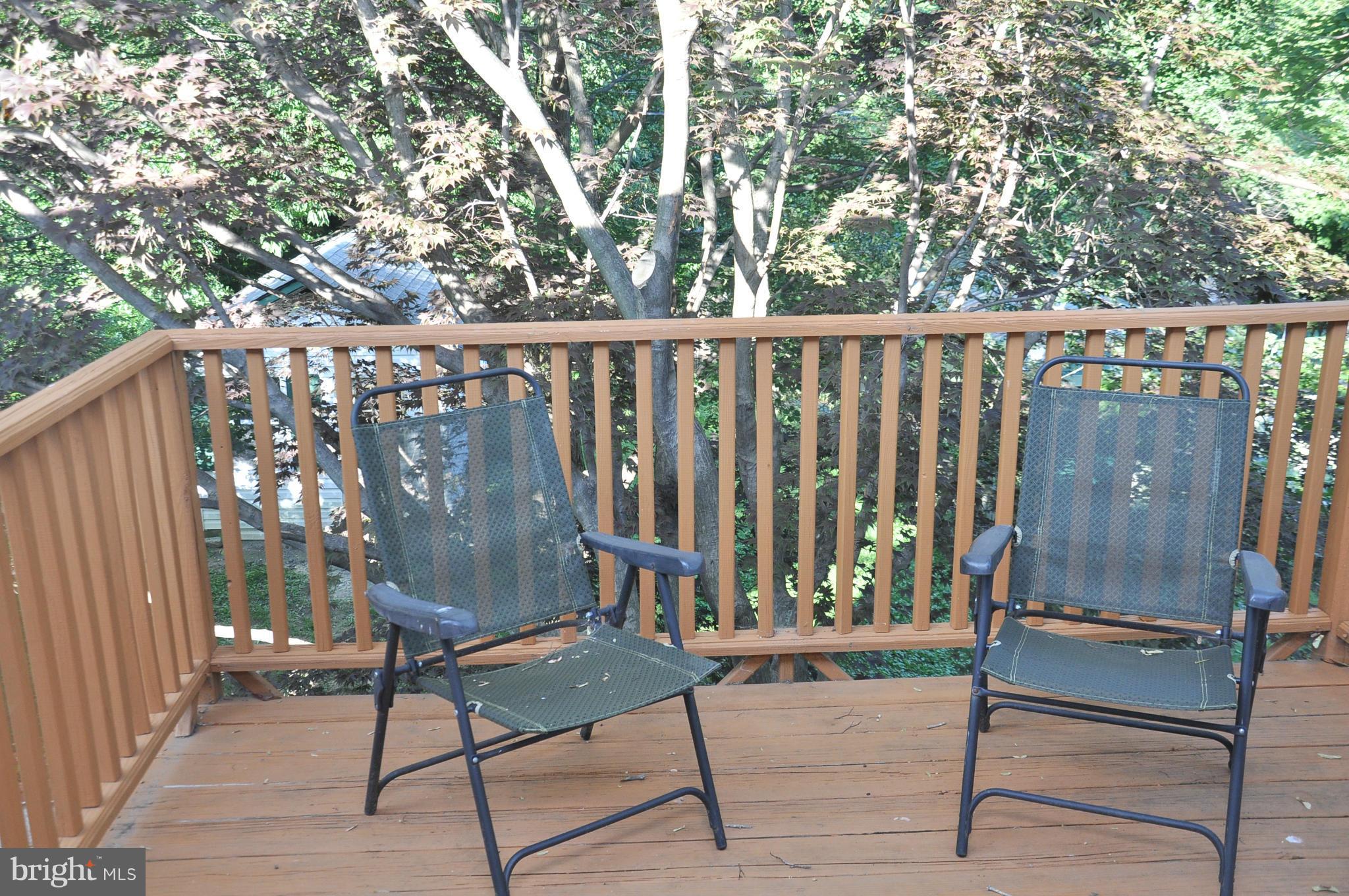 6009 Pinehurst Road Baltimore, MD 21212 - Photo 22 of 29 Master Bedroom Deck