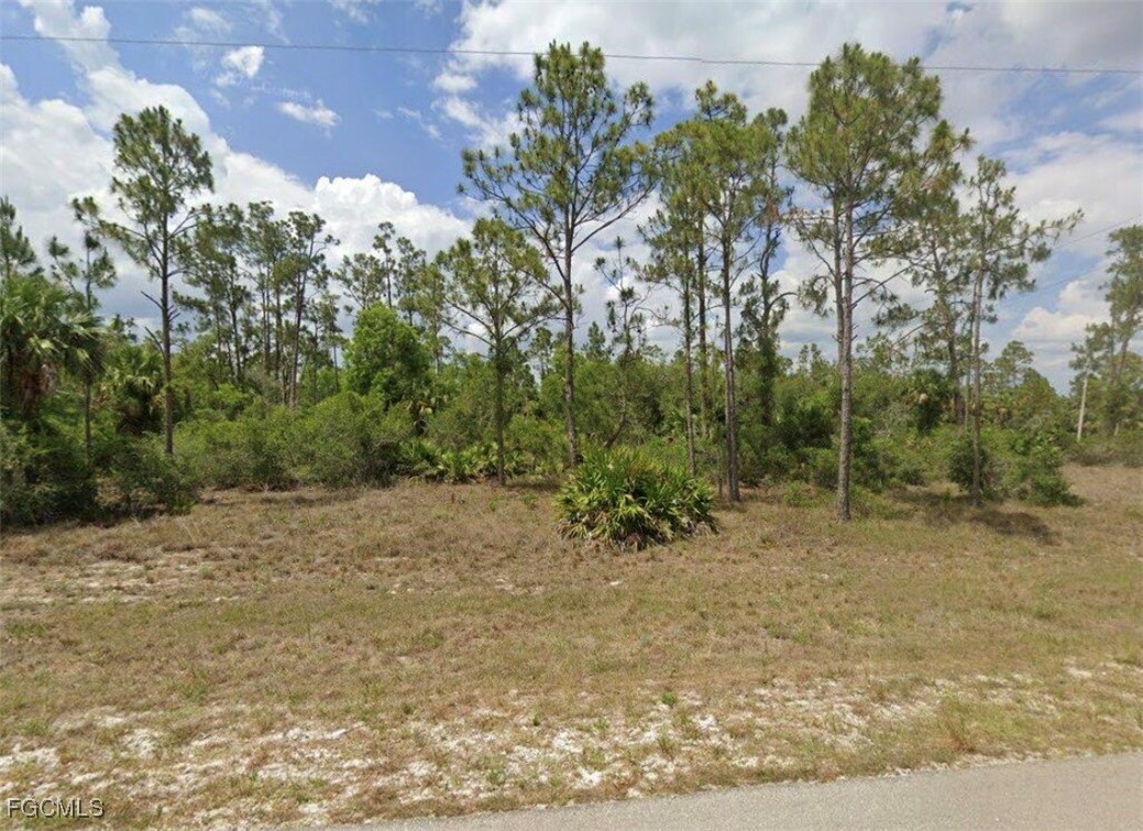 3903 East 23rd Street Alva, FL 33920 - Photo 2 of 2