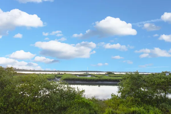 a view of a lake with a yard
