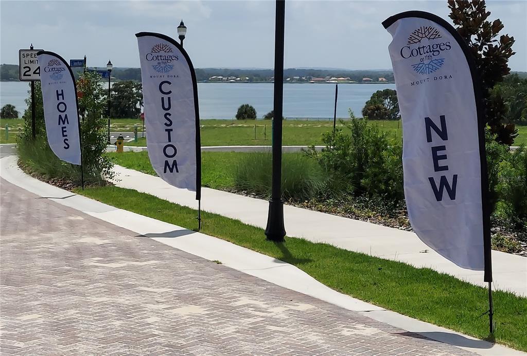 620 Casey Loop Mount Dora, FL 32757 - Photo 6 of 7 a view of a pathway in front of house