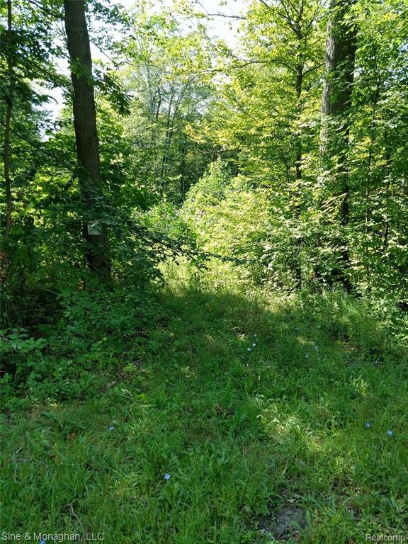 8296 Morrow Road Algonac, MI 48001 - Photo 5 of 7