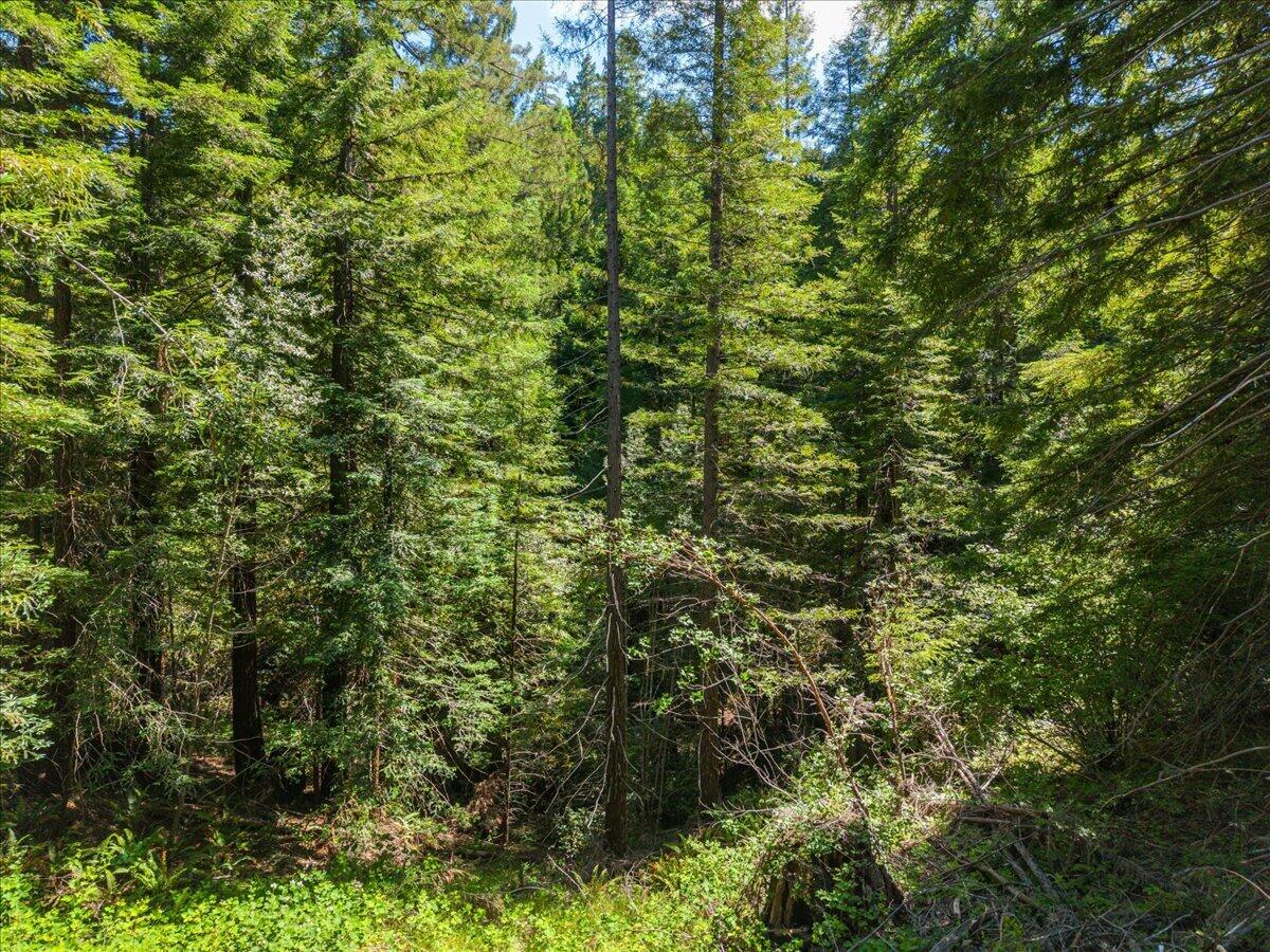 C Bear Canyon Road Garberville, CA 95542 - Photo 31 of 43 40-DJI_20260529151538_0736_D_1