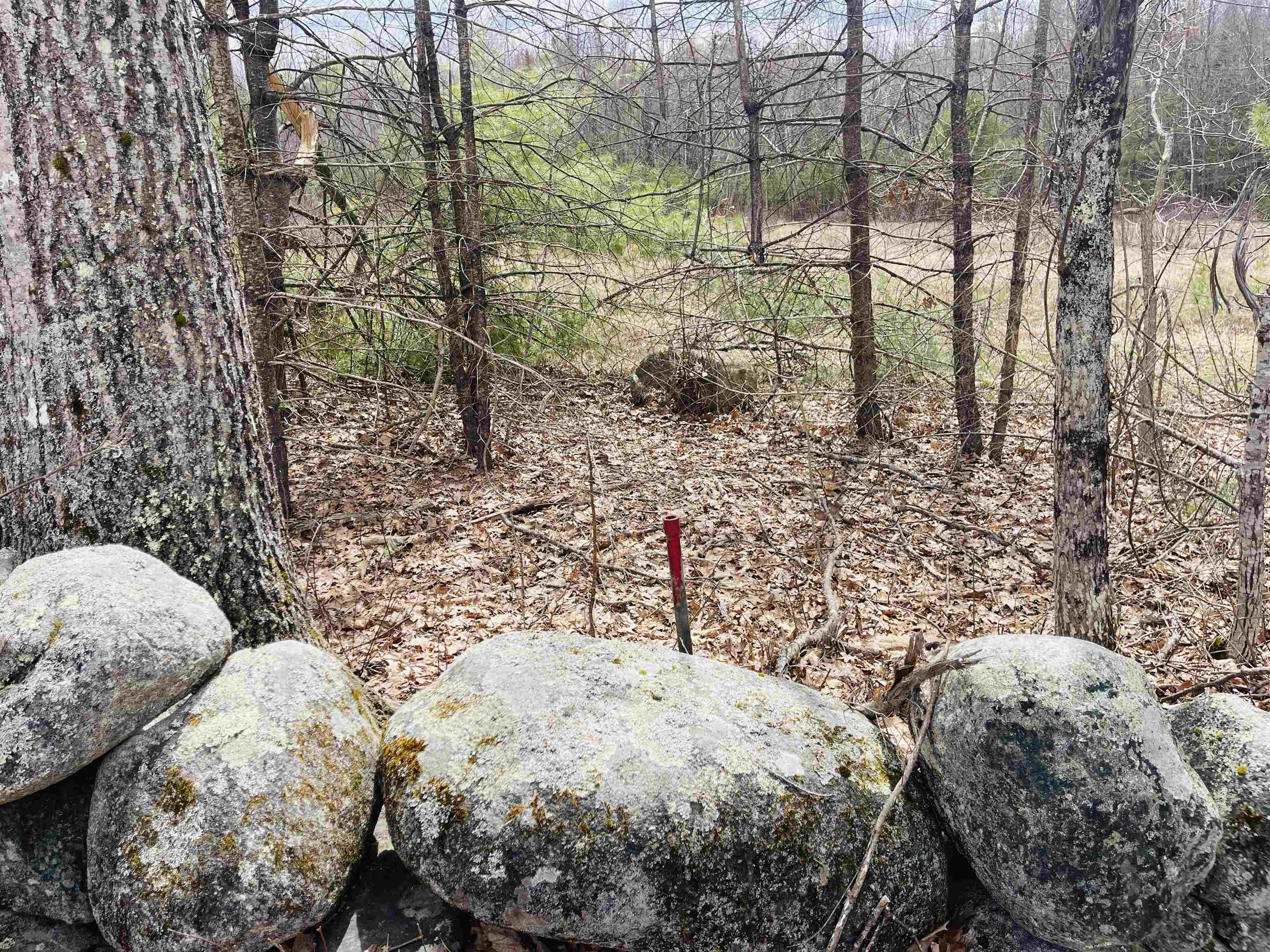 County Road, Unit 7 Mirror Lake, NH 03853 - Photo 5 of 5