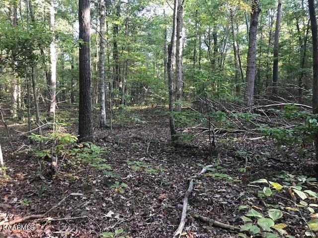 Lot 8 Mountain View Road Benton, TN 37307 - Photo 3 of 11 mtn view lot 8 1