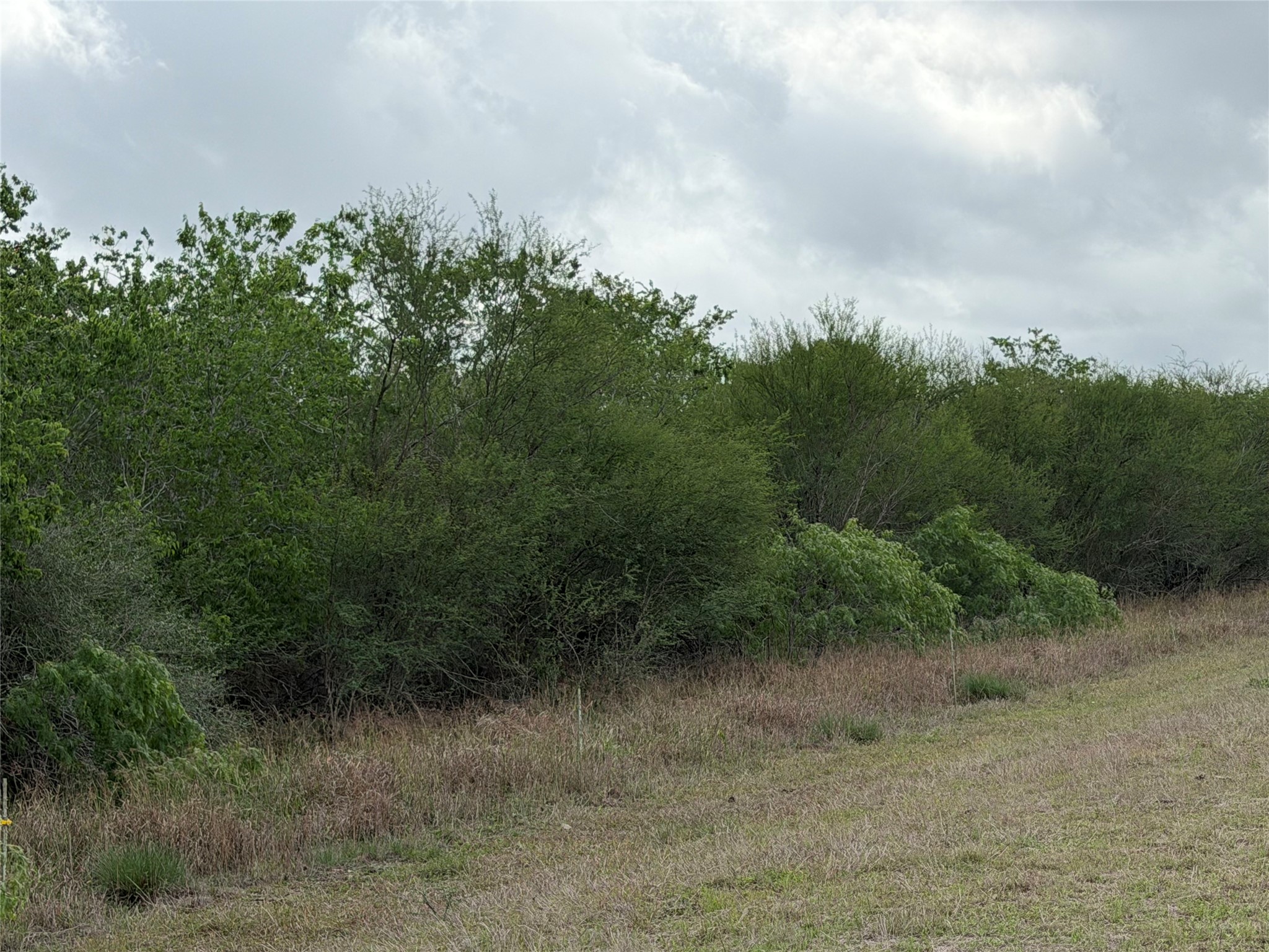 9 Love Road Victoria, TX 77904 - Photo 2 of 20 Gallery Image 2