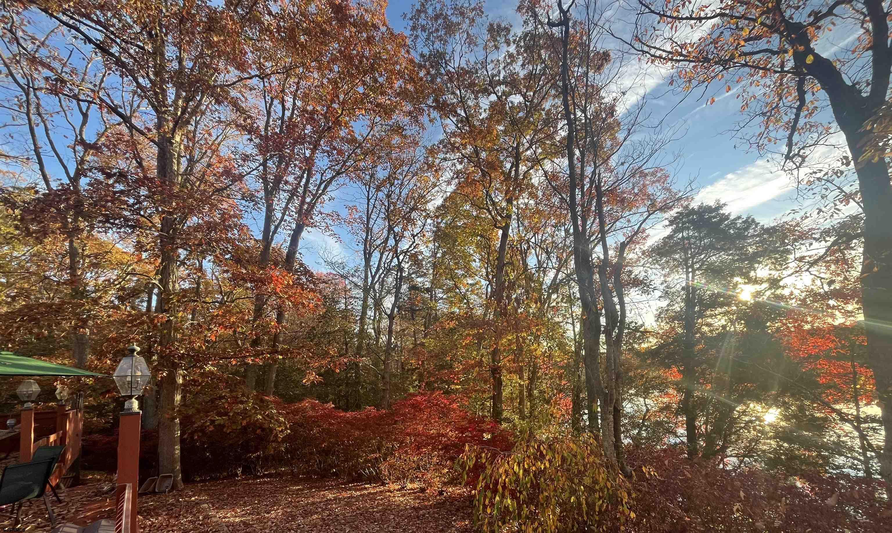 255 Clarks Pond Road Bridgeton, NJ 08302 - Photo 15 of 33 Gallery Image 15
