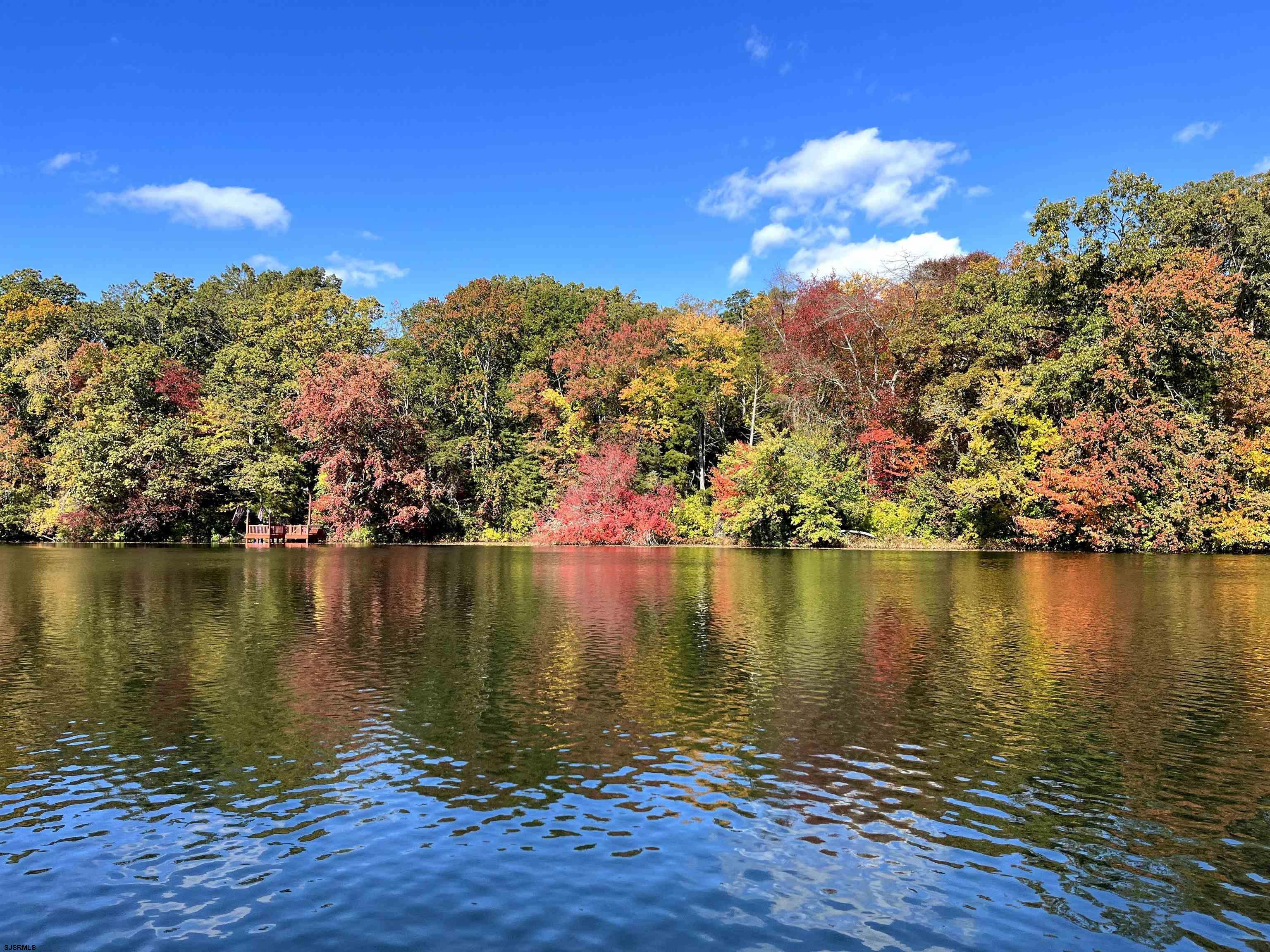 255 Clarks Pond Road Bridgeton, NJ 08302 - Photo 27 of 33 Gallery Image 27