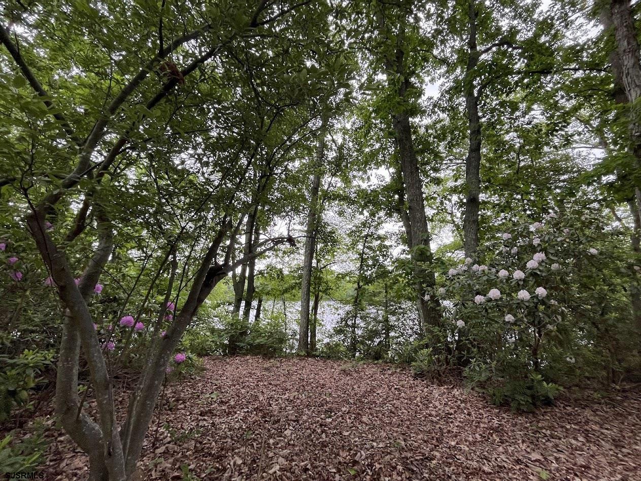 255 Clarks Pond Road Bridgeton, NJ 08302 - Photo 7 of 33 Gallery Image 7