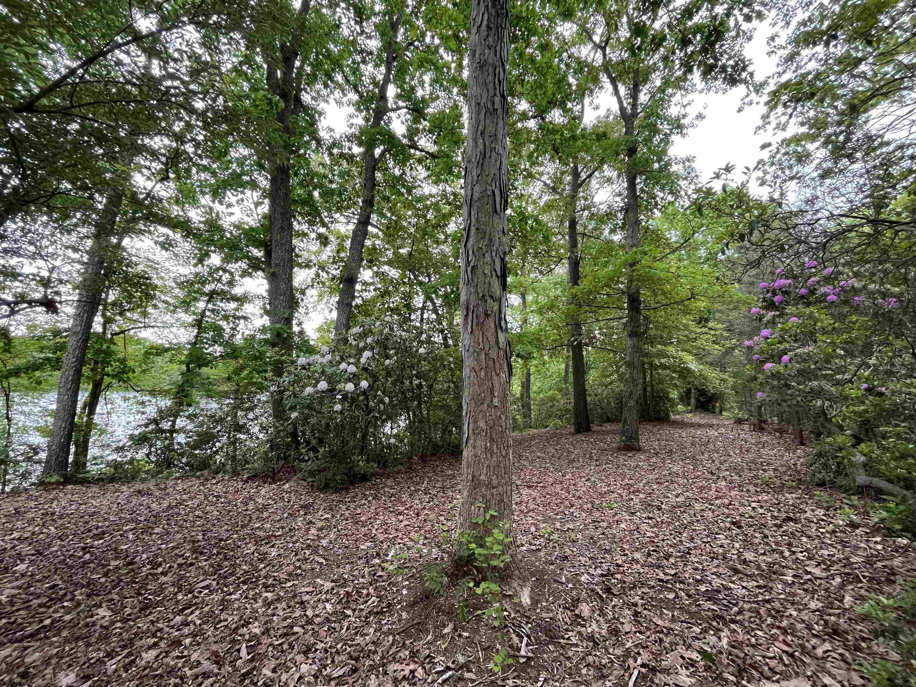 255 Clarks Pond Road Bridgeton, NJ 08302 - Photo 8 of 33 Gallery Image 8