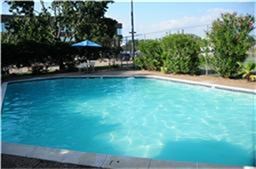6001 Reims Road, Unit 1202 Houston, TX 77036 - Photo 14 of 16 This photo showcases a well-maintained outdoor swimming pool surrounded by greenery, providing a relaxing and private space for leisure and entertainment.