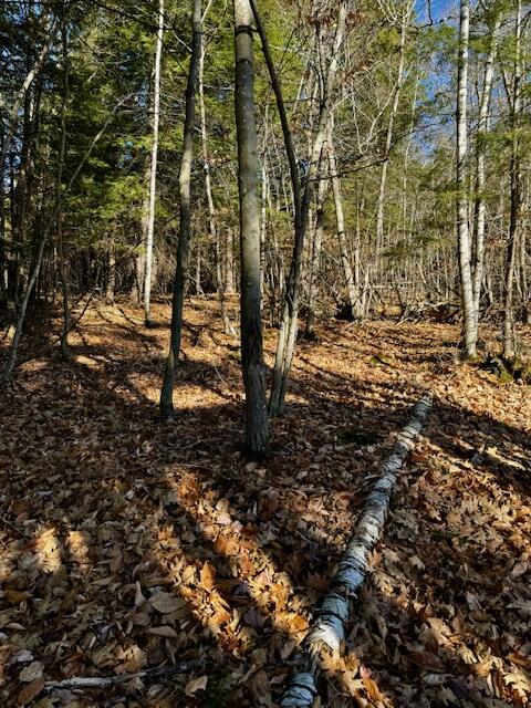 Lot # Sweden Road Bridgton, ME 04009 - Photo 3 of 3 land on sweden1