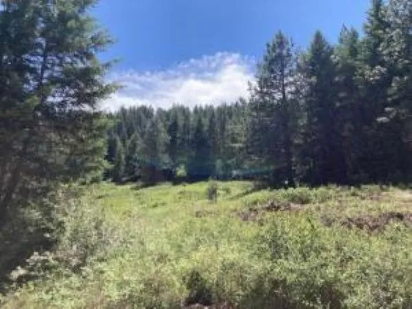 $139,000 | 137 Matsen Creek Road, Kettle Falls, WA 99141