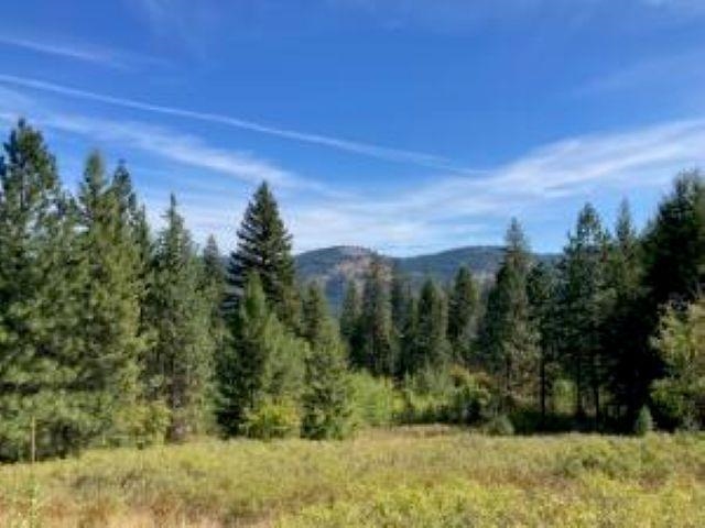 137 Matsen Creek Road Kettle Falls, WA 99141 - Photo 16 of 41