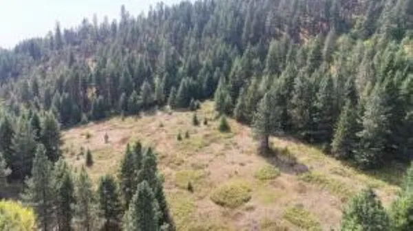 $139,000 | 137 Matsen Creek Road, Kettle Falls, WA 99141