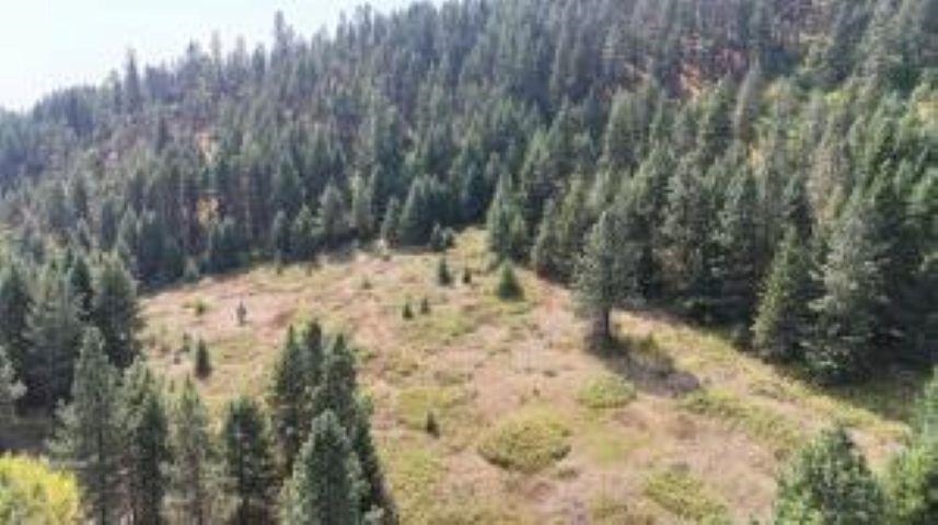 137 Matsen Creek Road Kettle Falls, WA 99141 - Photo 17 of 41