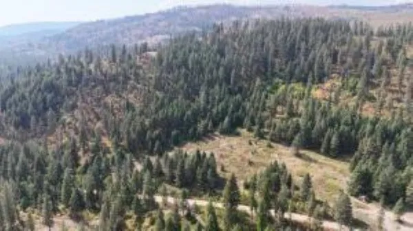 $139,000 | 137 Matsen Creek Road, Kettle Falls, WA 99141