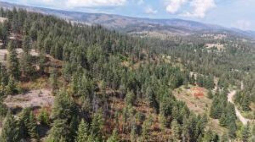 137 Matsen Creek Road Kettle Falls, WA 99141 - Photo 19 of 41
