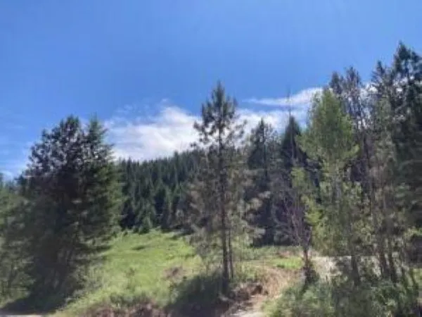 $139,000 | 137 Matsen Creek Road, Kettle Falls, WA 99141