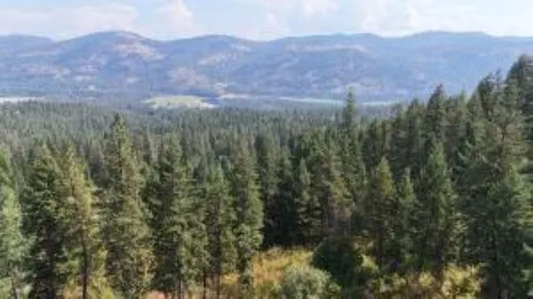$139,000 | 137 Matsen Creek Road, Kettle Falls, WA 99141