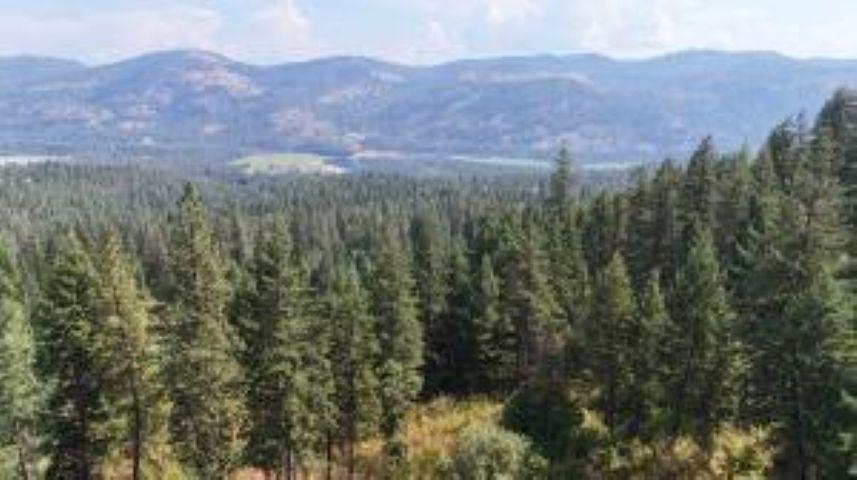 137 Matsen Creek Road Kettle Falls, WA 99141 - Photo 23 of 41