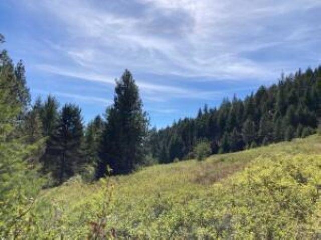 137 Matsen Creek Road Kettle Falls, WA 99141 - Photo 24 of 41