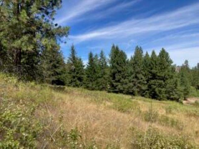 137 Matsen Creek Road Kettle Falls, WA 99141 - Photo 25 of 41