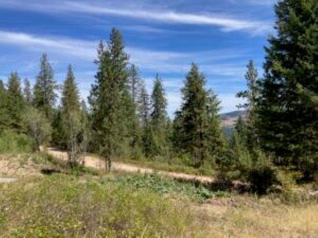 137 Matsen Creek Road Kettle Falls, WA 99141 - Photo 31 of 41
