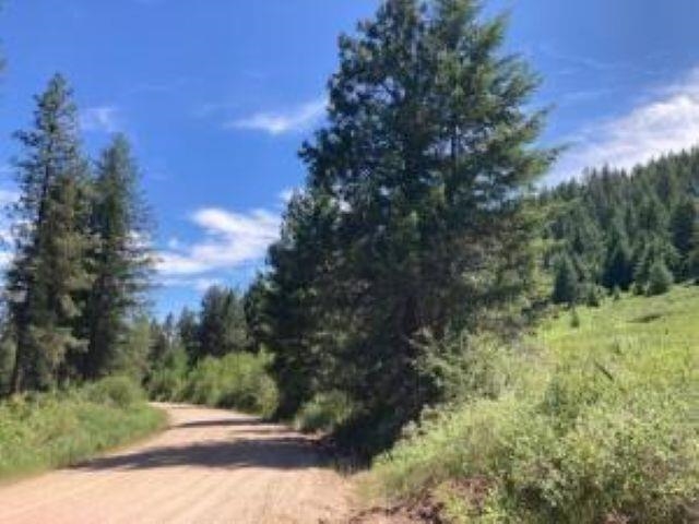 137 Matsen Creek Road Kettle Falls, WA 99141 - Photo 32 of 41