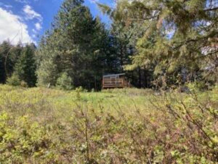 137 Matsen Creek Road Kettle Falls, WA 99141 - Photo 33 of 33