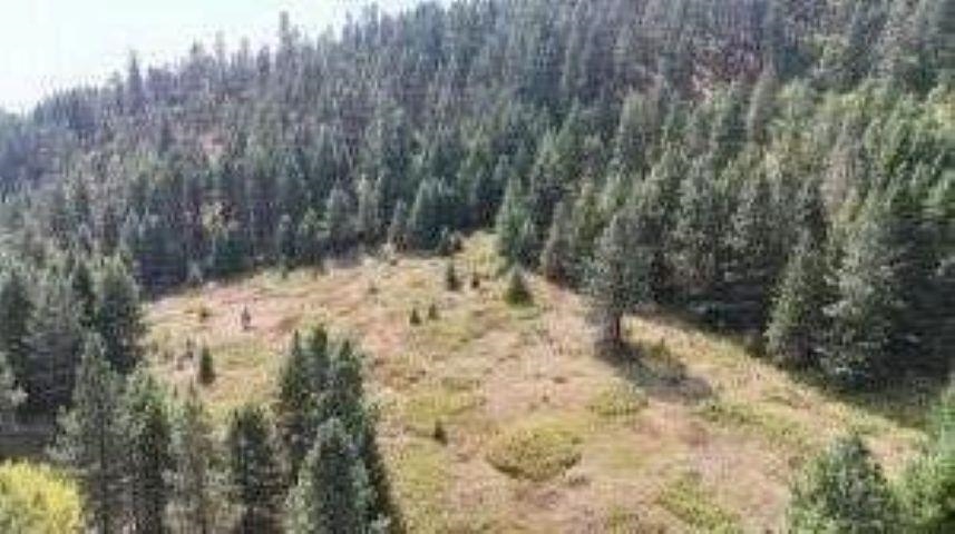 137 Matsen Creek Road Kettle Falls, WA 99141 - Photo 8 of 33
