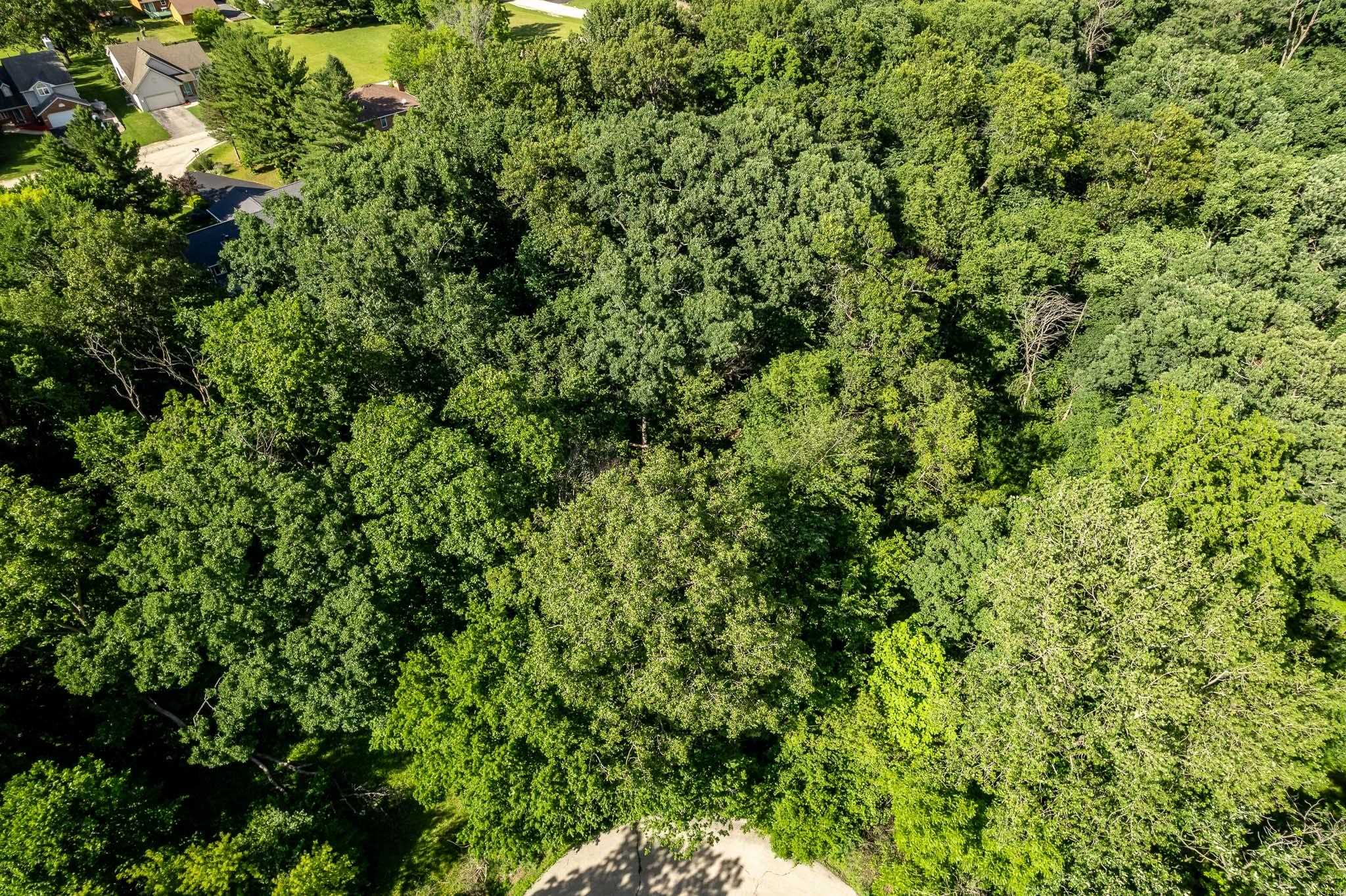 217 New Forest Road Southwest Poplar Grove, IL 61065 - Photo 3 of 4