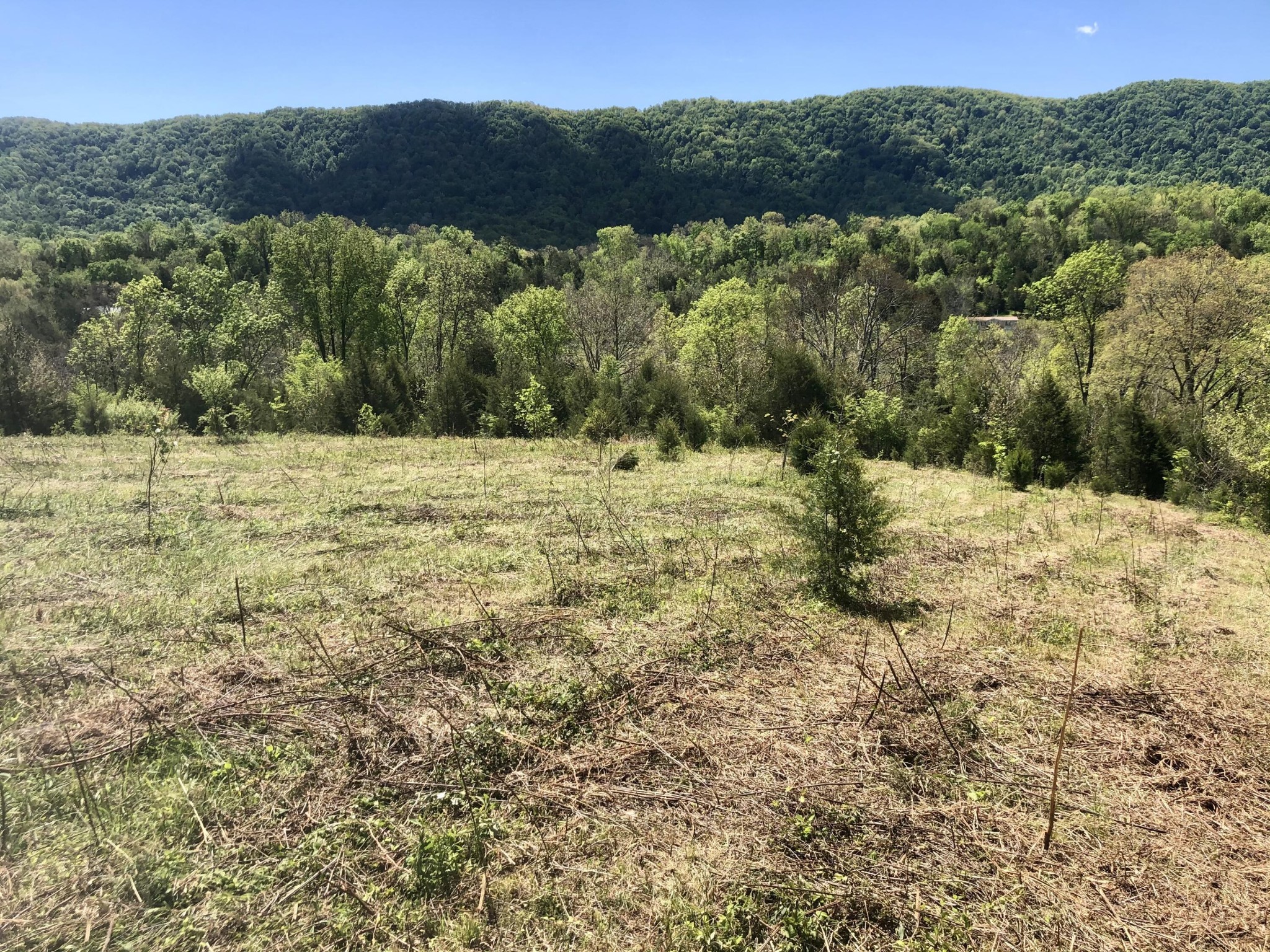 2324 Rackum Road Road Thorn Hill, TN 37881 - Photo 10 of 22 Gallery Image 10