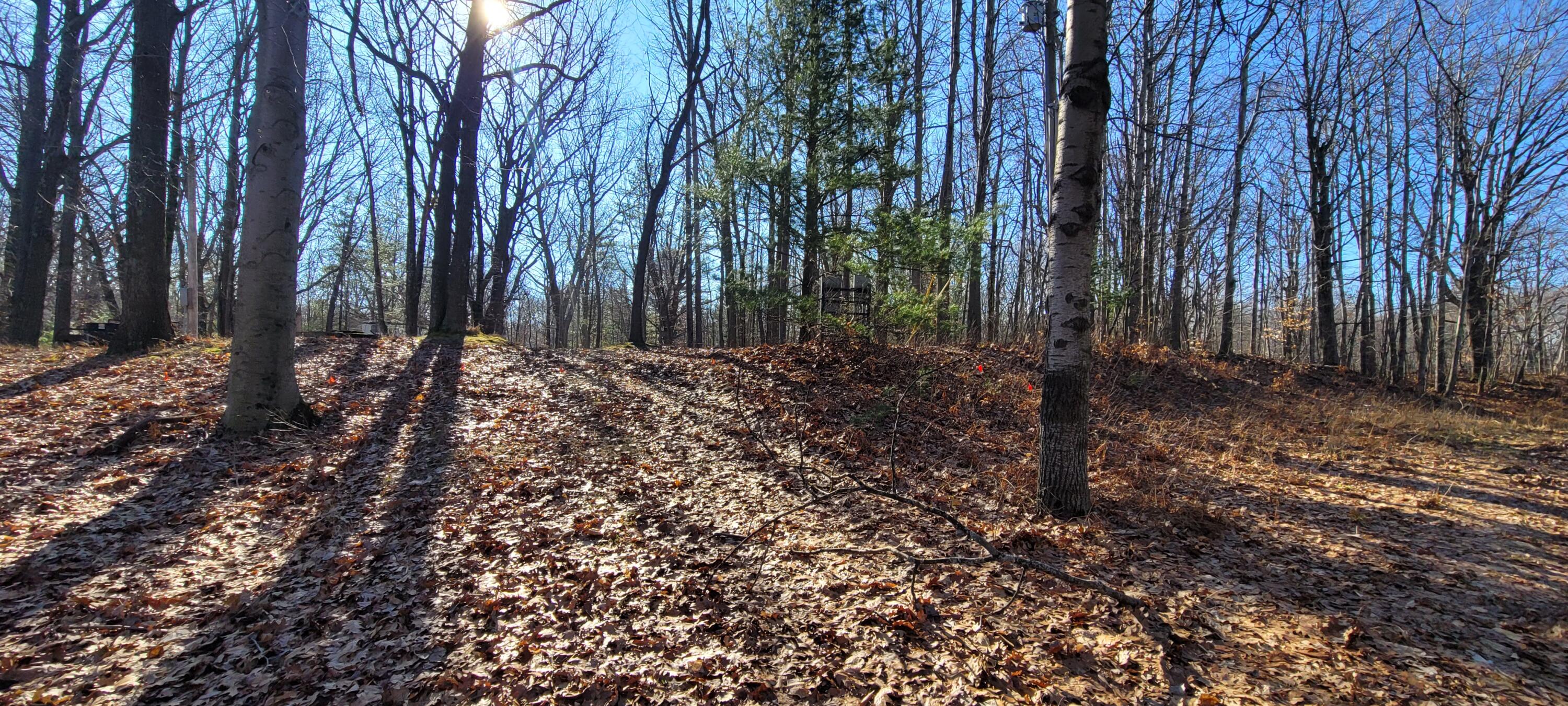 9463 West Wild Ridge Mears, MI 49436 - Photo 2 of 8 20240209_143107