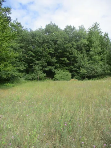 $49,900 | Emerald Ridge, Unit 13, Onekama, MI 49675