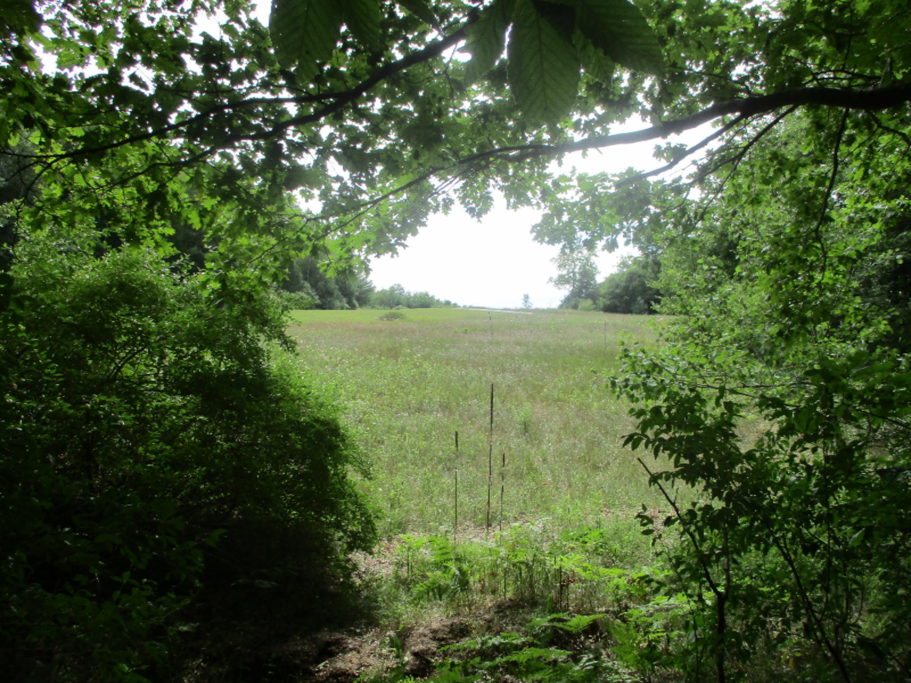 Emerald Ridge, Unit 13 Onekama, MI 49675 - Photo 4 of 14 Towards Back of Property