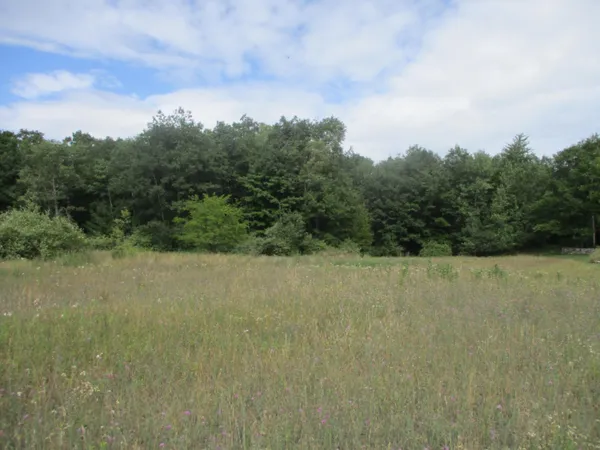 $49,900 | Emerald Ridge, Unit 13, Onekama, MI 49675