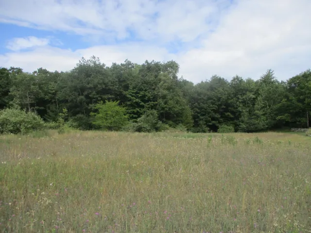 $49,900 | Emerald Ridge, Unit 13, Onekama, MI 49675