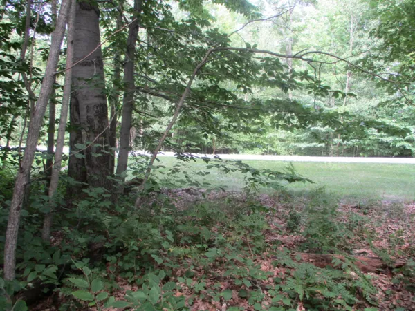 $49,900 | Emerald Ridge, Unit 13, Onekama, MI 49675