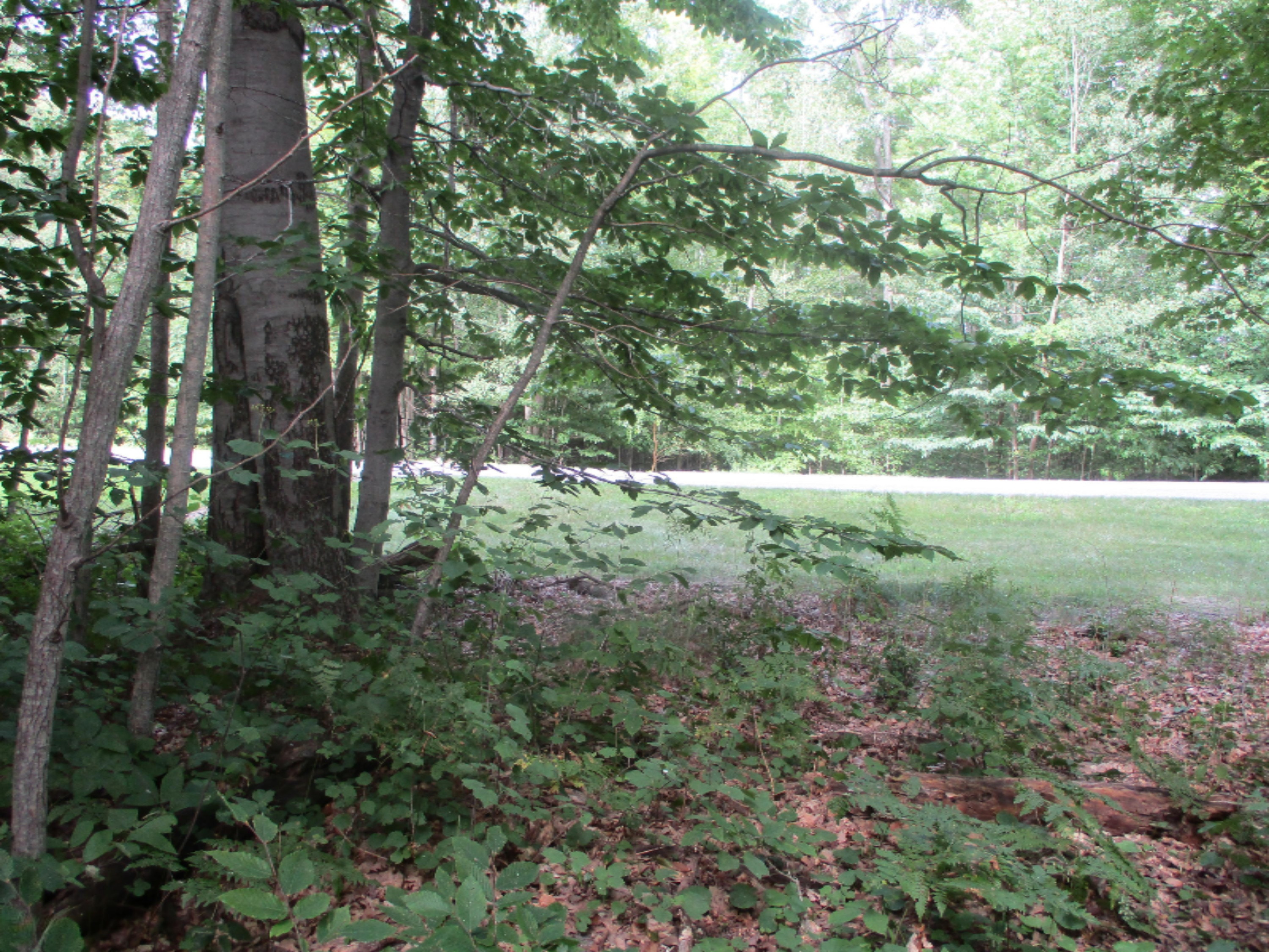 Emerald Ridge, Unit 13 Onekama, MI 49675 - Photo 8 of 14 Looking Toward Street