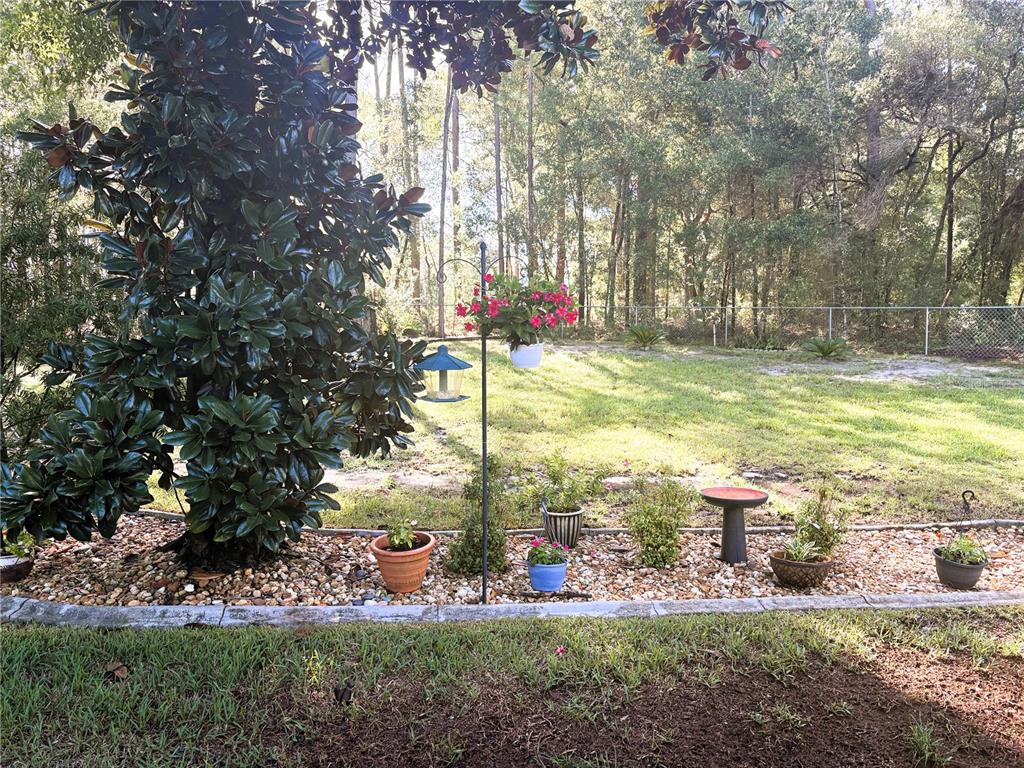 5968 Southwest 103rd Loop Ocala, FL 34476 - Photo 24 of 48 a view of yard with tree