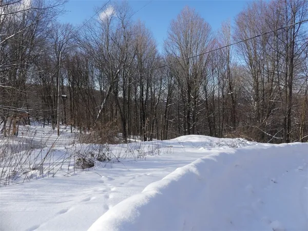 $250,000 | 28 State Highway, Andes, NY 13731