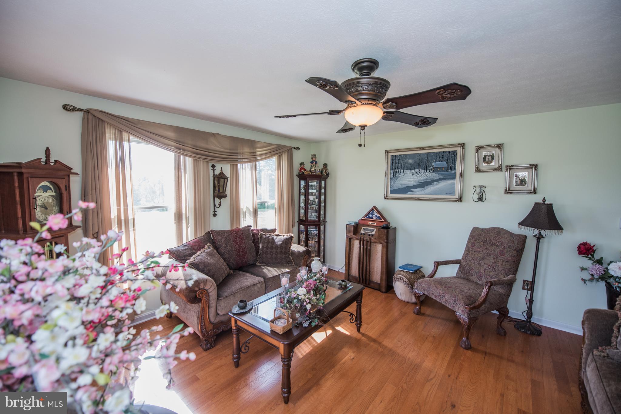 358 Ridge View Drive Berkeley Springs, WV 25411 - Photo 19 of 50 well light living rm with new windows